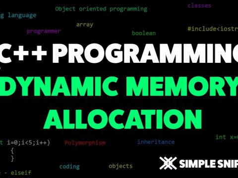 Dynamic Memory Allocation in C++ with Example